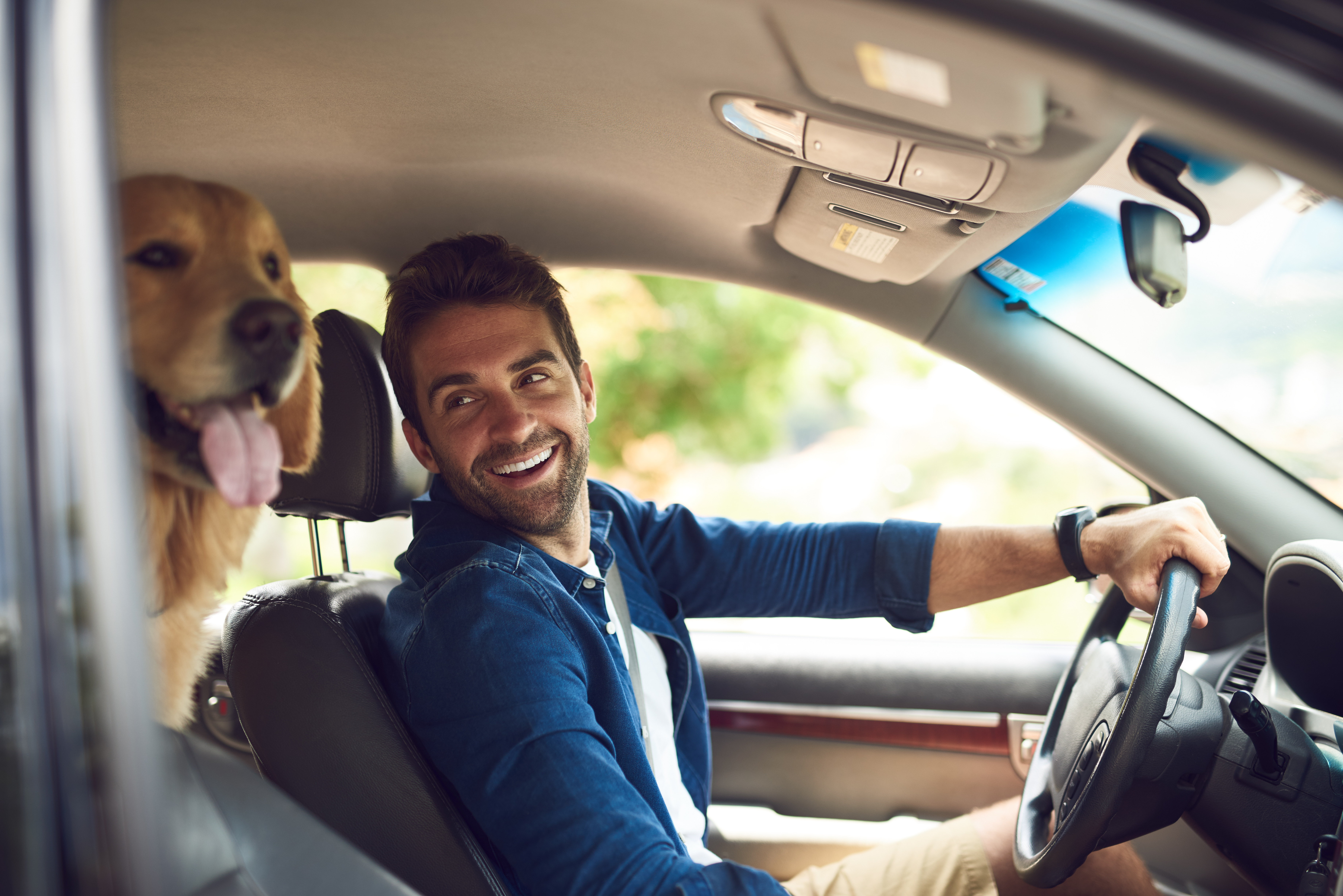man driving in car with his dog